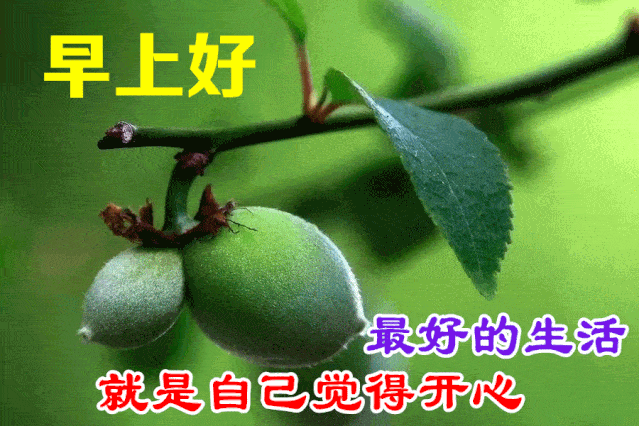 早上好问候美图早安问候语句