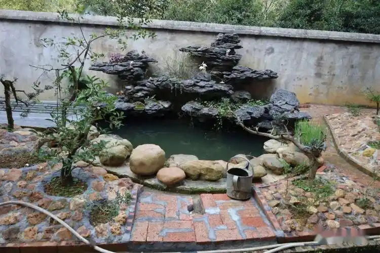 珠玑镇长迳村黄金凤庭院院子里树木浓绿花草争艳秋千,假山,鱼池及休闲