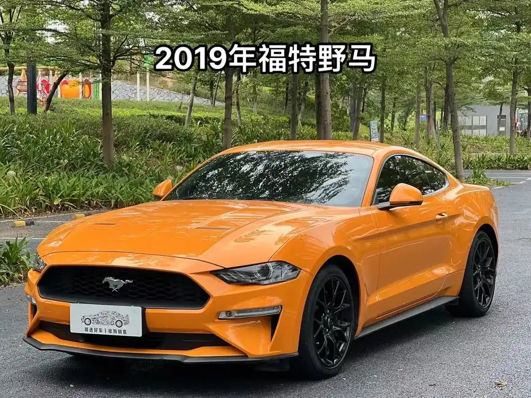 2019年福特野马2.3t跑车.【车辆名称】2019款 野马 - 抖音