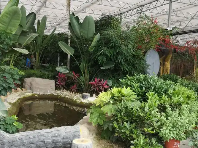 游河北保定大午温泉度假村(2020.8.27-8.28)