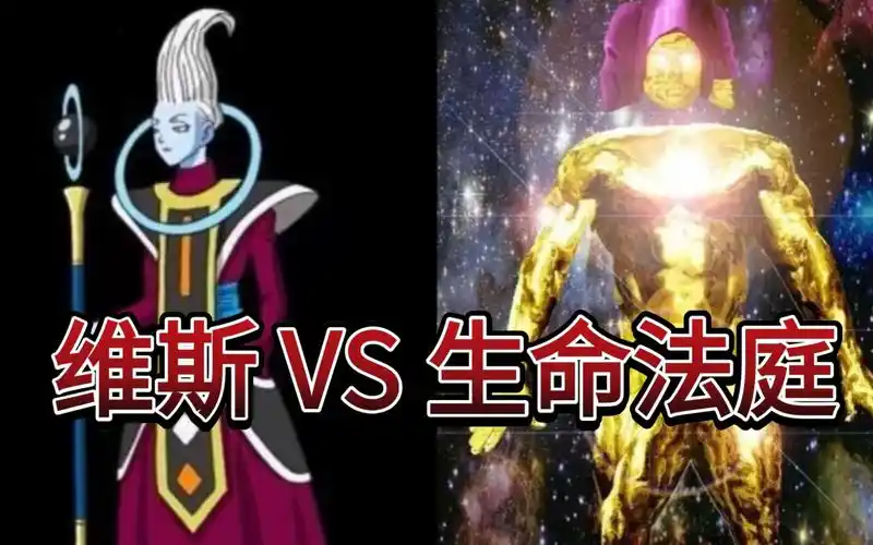 维斯 vs 生命法庭