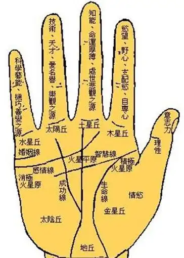 手相图解_男人左手手掌纹路图解