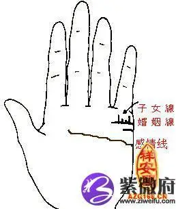 怎样从手纹看子女