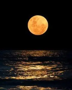 十五的月亮十六圆