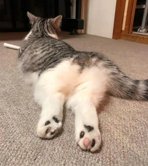 funi/短足//19年生//(1110-1.