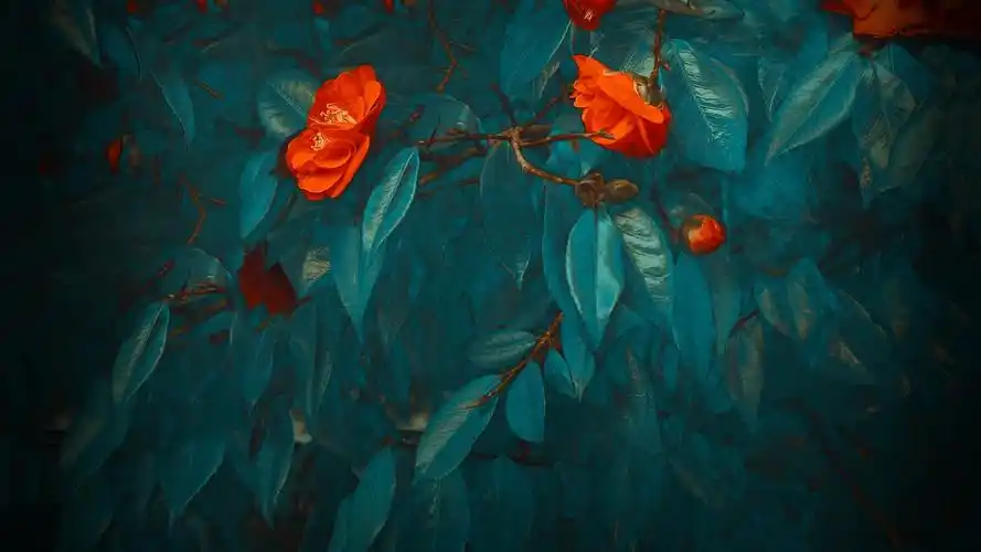 华为mate 20原生壁纸