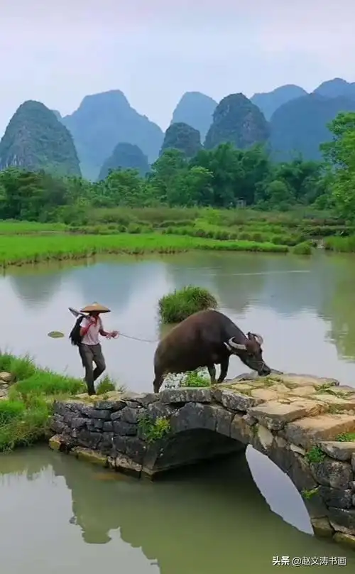 人到中年,笑看人生风雨路,淡泊平和心自安