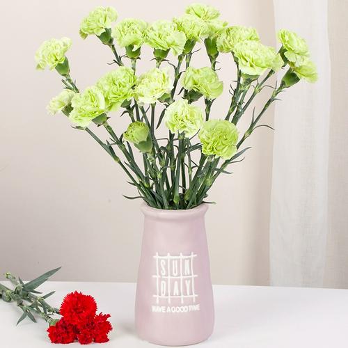 康乃馨鲜花云南昆明基地斗南直发水养花束花瓶插花康奶馨顺丰切花