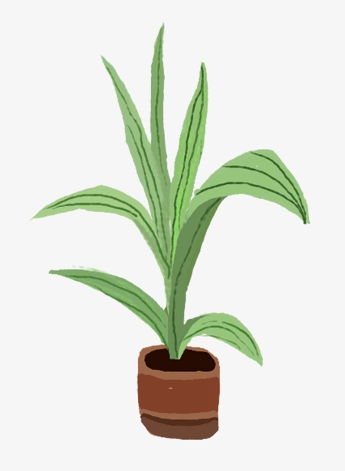 绿色植物卡通色彩