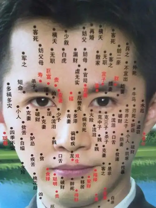 男女痣的位置与命运图