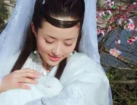 嫦娥仙子和兔子就是绝配,她抱着兔子的样子很可爱.