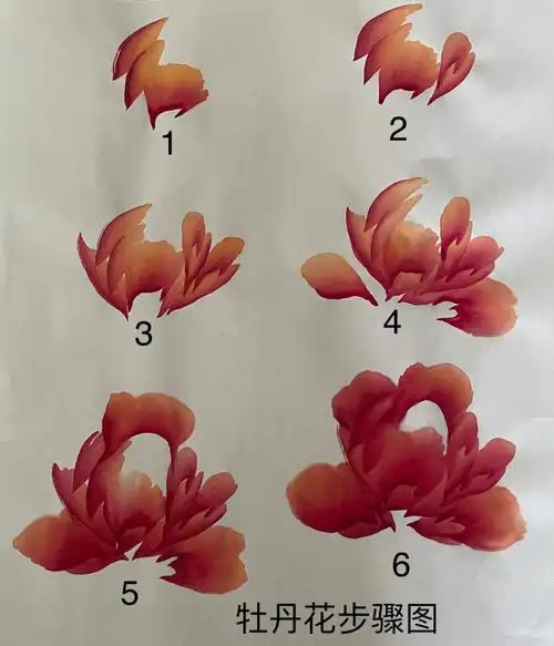 应家人们的要求出了一幅牡丹花步骤图