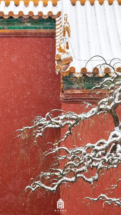 故宫雪景#红墙白雪,绝美的雪景当属故宫7815
