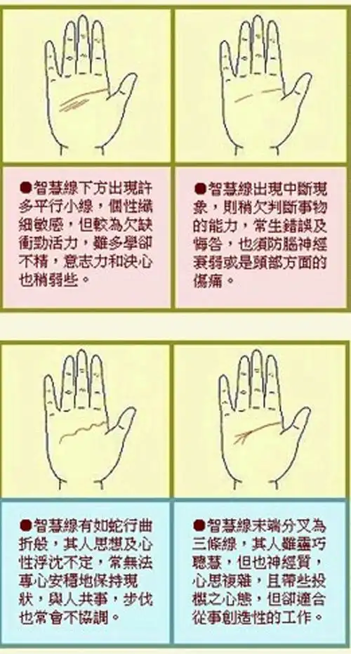 图解掌纹★智慧线汇总