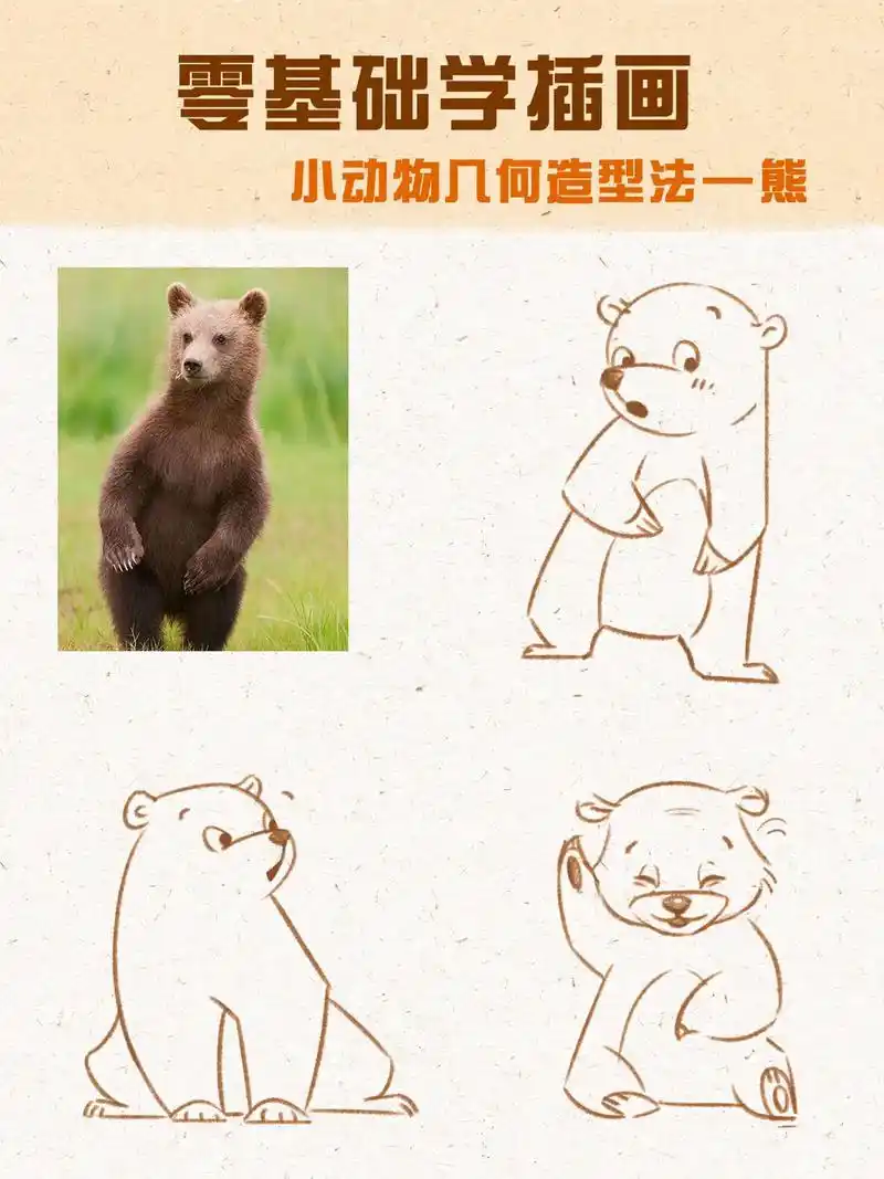 零基础动物插画教程,听说你还不会画小熊? #插画 #绘画 # - 抖音