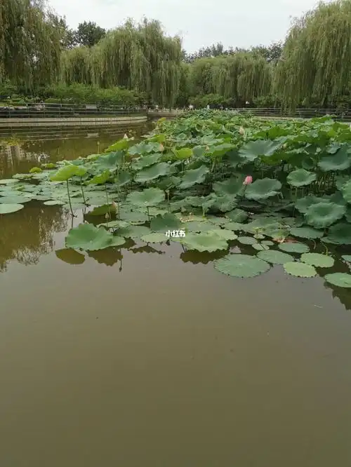 燕郊公园2小时游