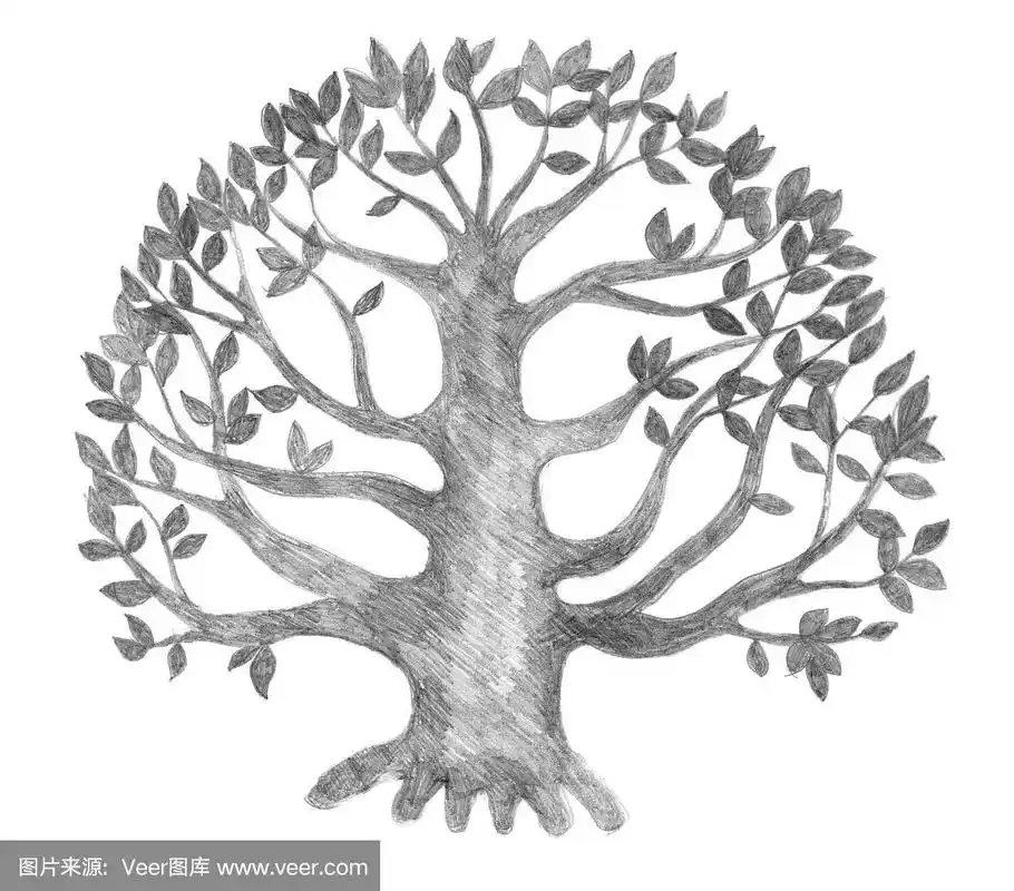 生命之树,素描
