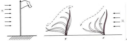 弧线运动和波浪型运动规律,s型曲线运动规律_二维动画设计