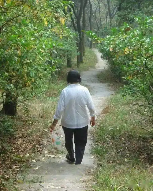 真情散文:母亲的背影