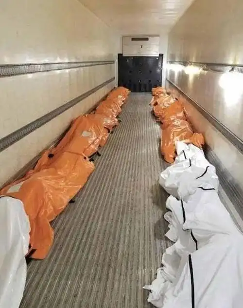 美国全境扩散出动叉车搬运尸体特朗普我从未见过那种景象