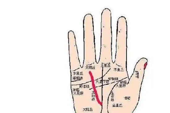 十大吉祥手相是那些