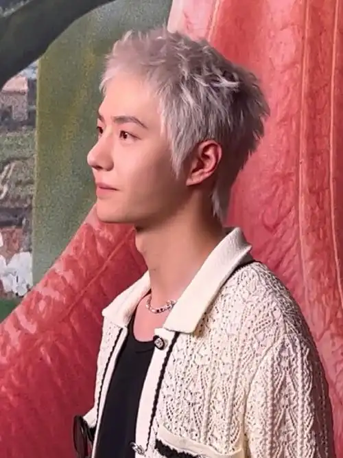 王一博白发真的太太太太太太太太太好看了像神话故事里走出来的少年