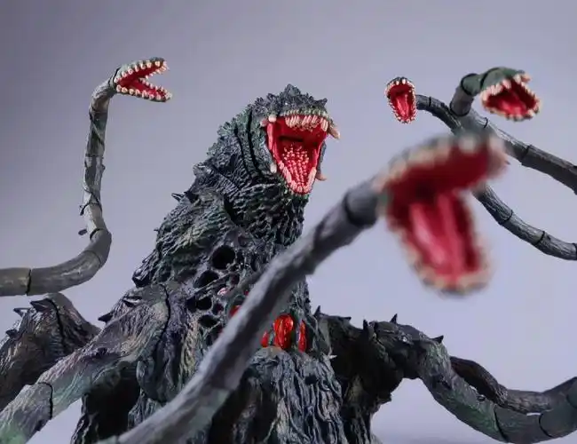 shm碧奥兰蒂随拍