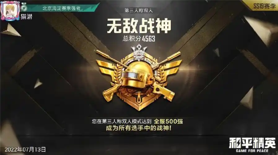 和平精英 双排无敌战神