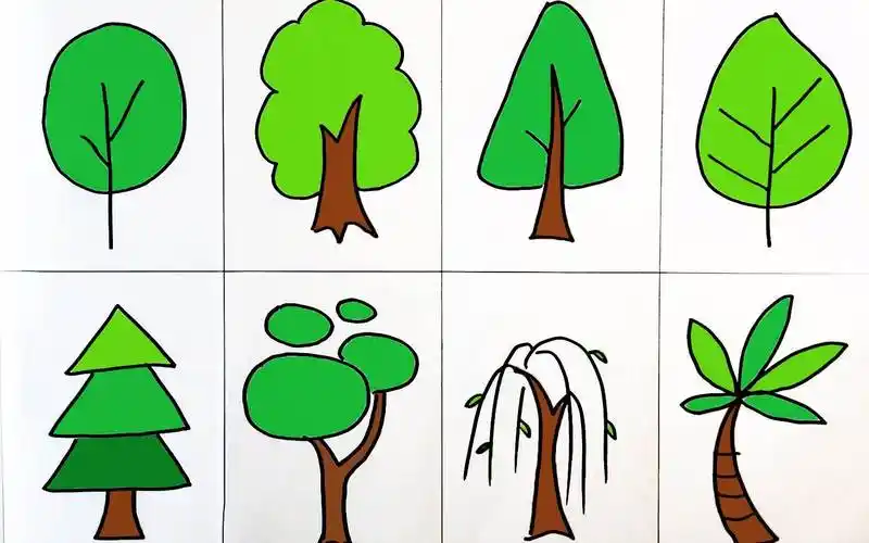 树简笔画 树简笔画彩色