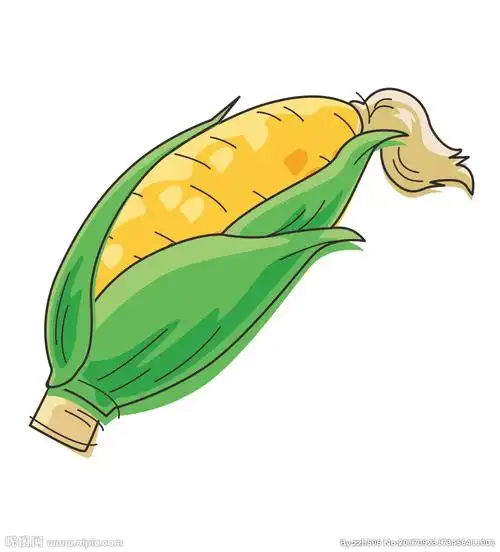 卡通玉米矢量文件图片
