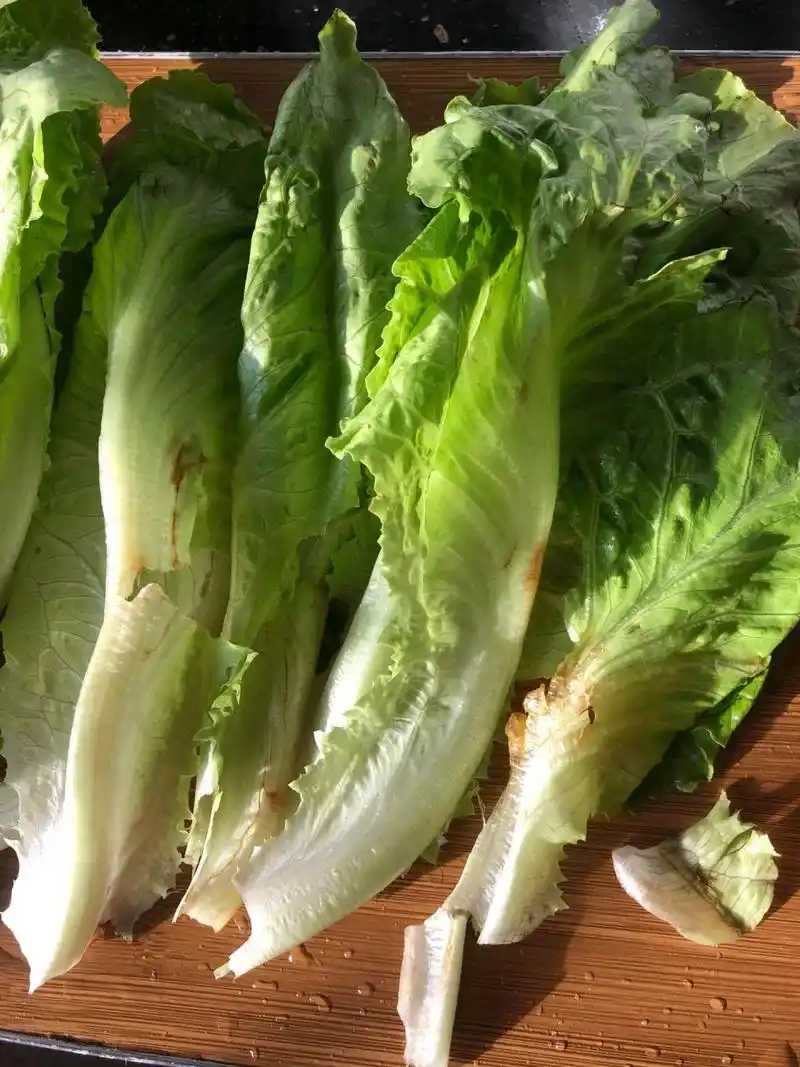 老公今天在超市买的新鲜蔬菜,打开一看全是烂的,拔下来每一片都有烂