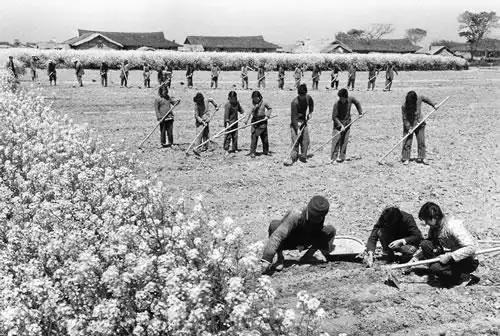建国初期农村真实生活场景,太珍贵了