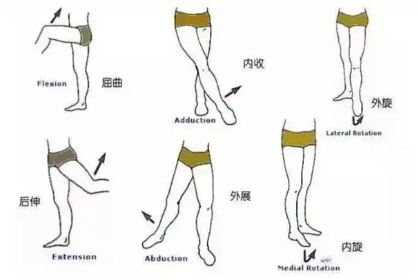 最近在大家都在讨论网红睡姿"还阳卧",态度褒贬不一,今天我想从一个