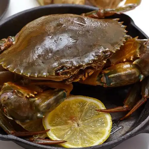 鲜活东山岛红鲟莱客生鲜400g野生红膏螃蟹活寄青蟹