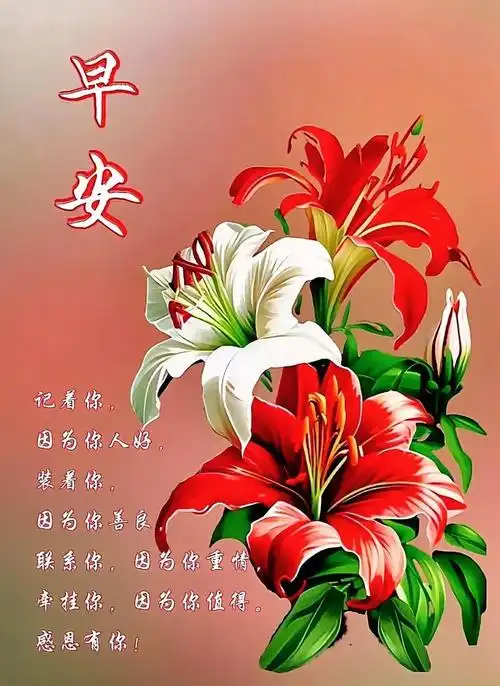 早安心语~努力一搏美在生活,开心一笑美在心情