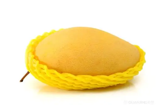 芒果图片_图片大全