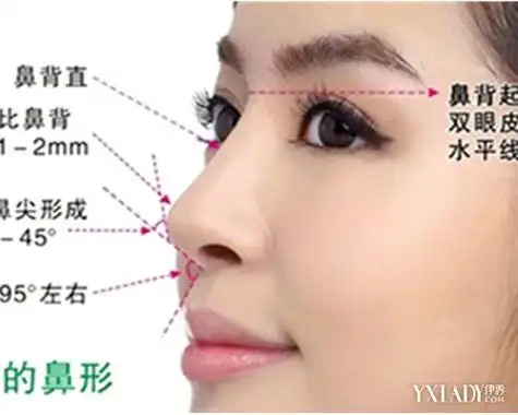中国人的鼻子类型 教你怎么看鼻子辨种族