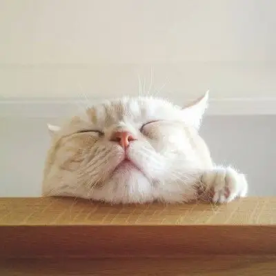 你以前不是这样的表情包