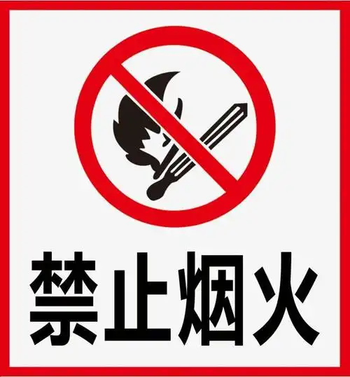 百色市右江区第四幼儿园——区四幼讲堂:安全活动《我们不玩火》 - 美