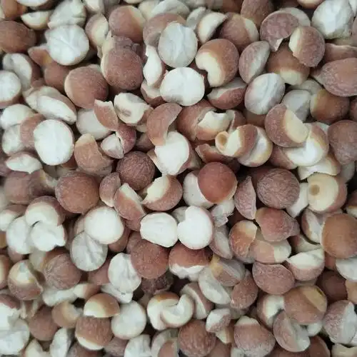 微山湖优质茨实野生开边新鲜鸡头米 红皮芡实瓣干货500g半开 包邮