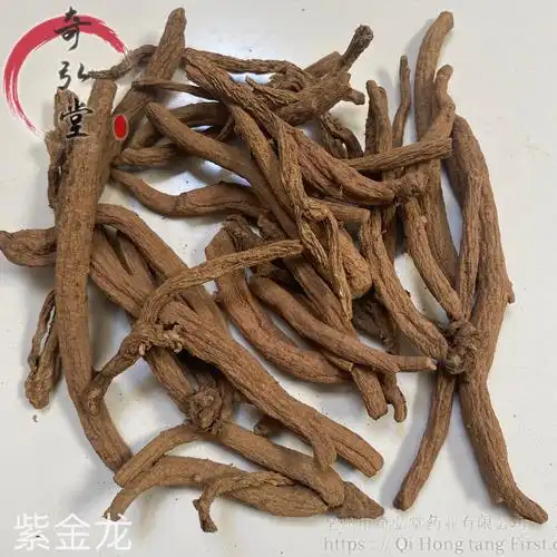 中药材紫金龙-紫金龙的功效与作用