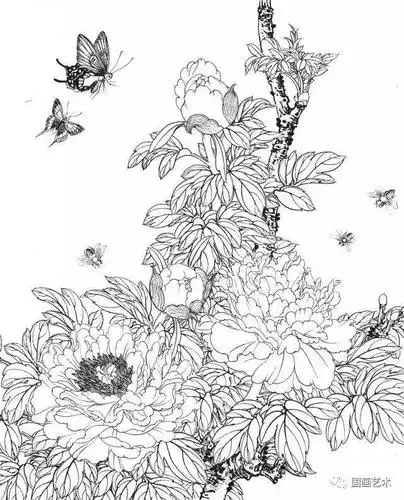 资料分享一组漂亮的工笔白描花鸟