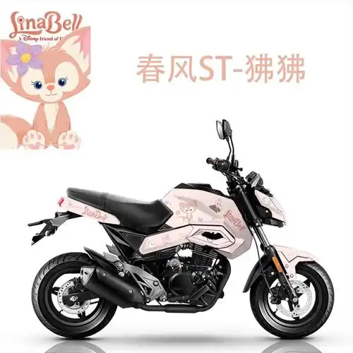 铃木gsx250  17年年底     便宜! 春风狒狒st - 抖音