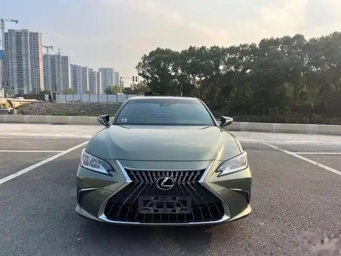 雷克萨斯es200,这个颜色蛮特别的08