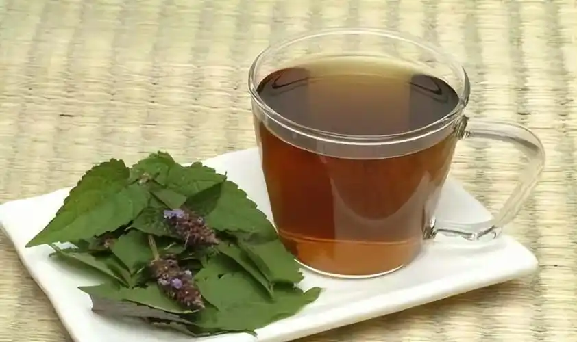 这些茶水能降血脂)