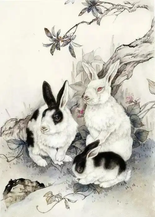 兔年大吉,兔子的工笔画你见过吗?