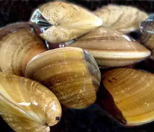 山东日照五莲县