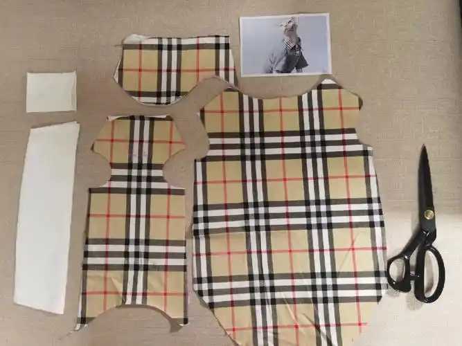 你的猫穿新衣服了吗