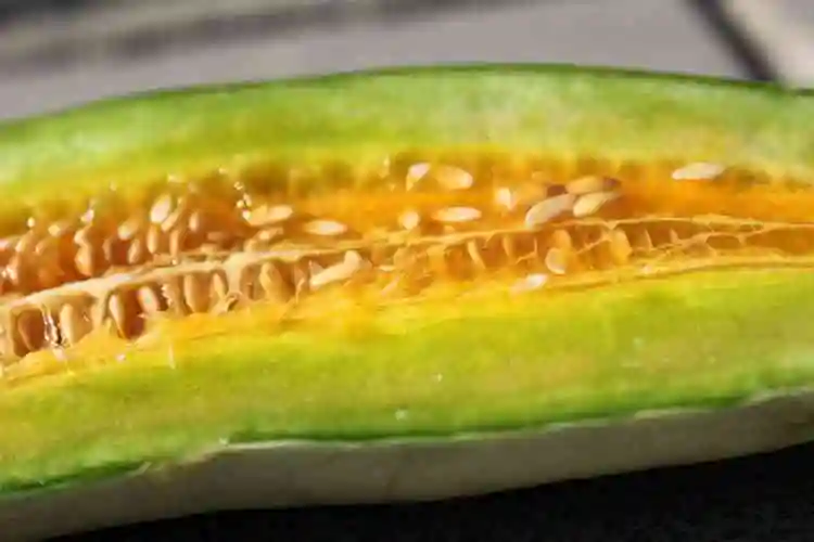 羊角蜜的功效与作用