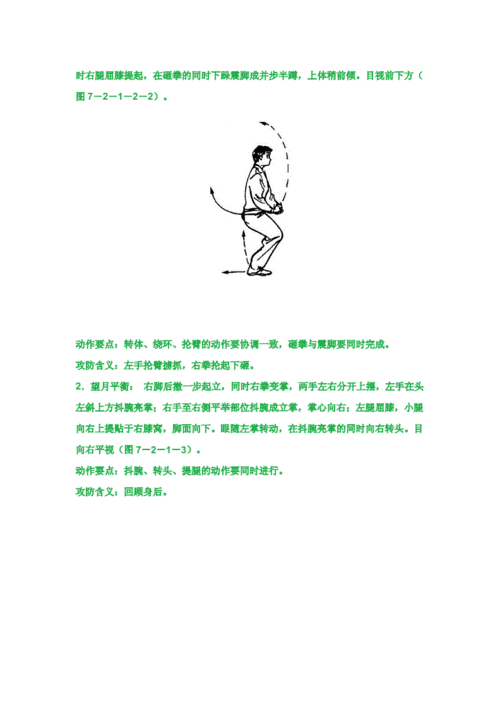 少年拳第二套动作图解doc14页